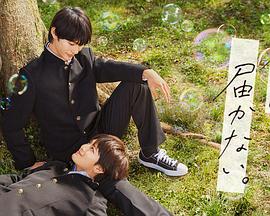 海上旧梦海报剧照