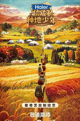 素人访谈海报剧照