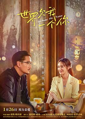 高圆圆三级海报剧照